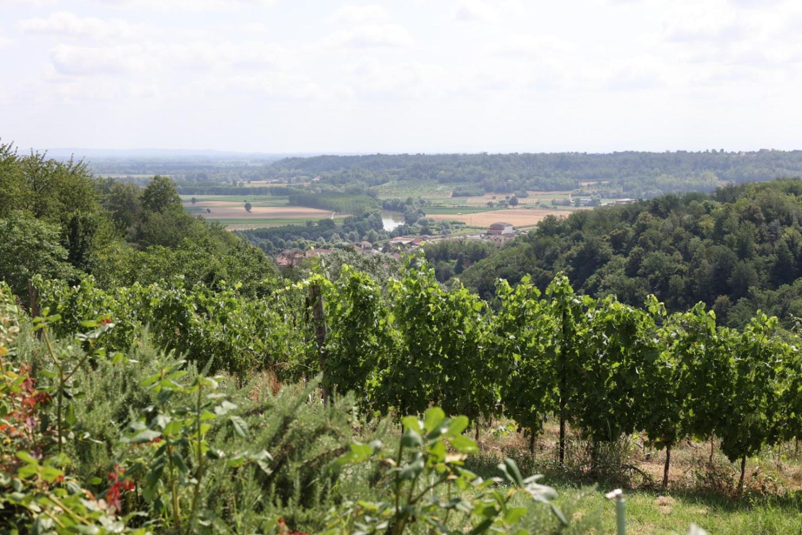 Braida Wine Resort Rocchetta Tanaro Esterno foto